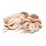 Fresh Octopus ready for Online Seafood delivery in Pakistan