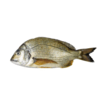 Fresh Goldline Bream ( Kapartan ) Fish for online Seafood Delivery in Pakistan