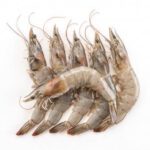 Beautiful fresh medium prawns in Pakistan