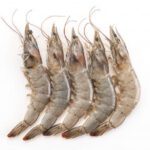 Fresh prawns or shrimps ready for online seafood delivery