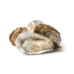 Fresh Oyster for online delivery in Pakistan