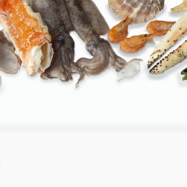 fresh seafood delivery Pakistan – fresh all seafood